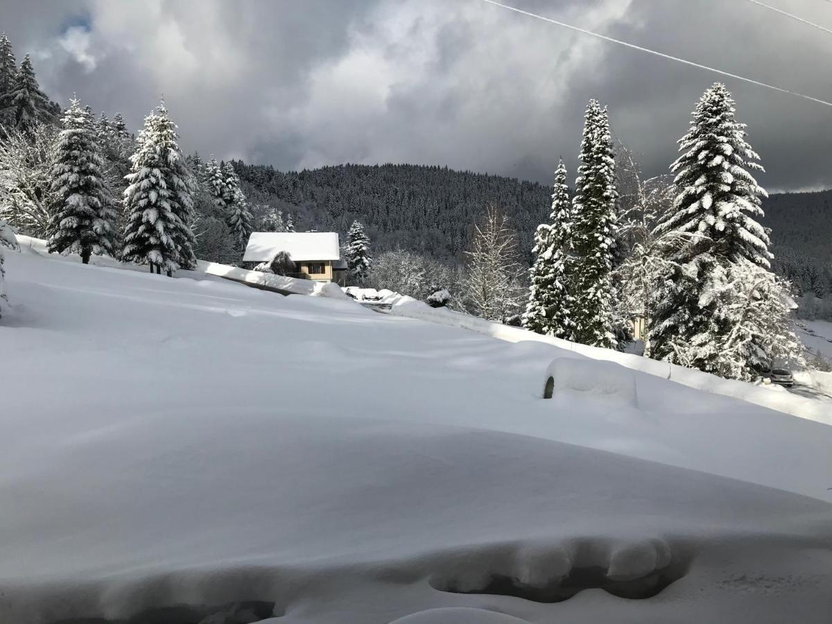 La Maison De Cecile Ventron Dış mekan fotoğraf